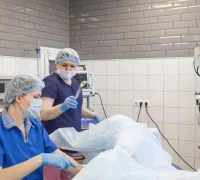 Центр эндодиагностики и малоинвазивной хирургии Цэмх 