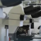 Национальный медицинский исследовательский центр детской гематологии, онкологии и иммунологии им. Д. Рогачёва Фотография 3